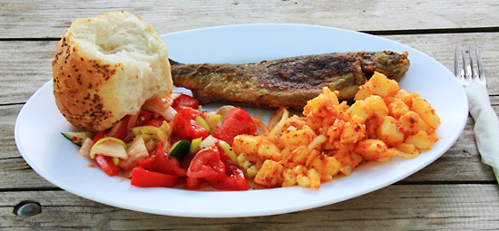 自动攻击网站工具下载